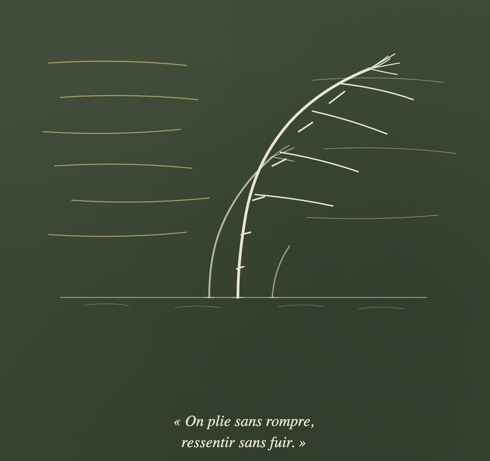 Illustration de la valeur Courage : un roseau qui plie sans rompre