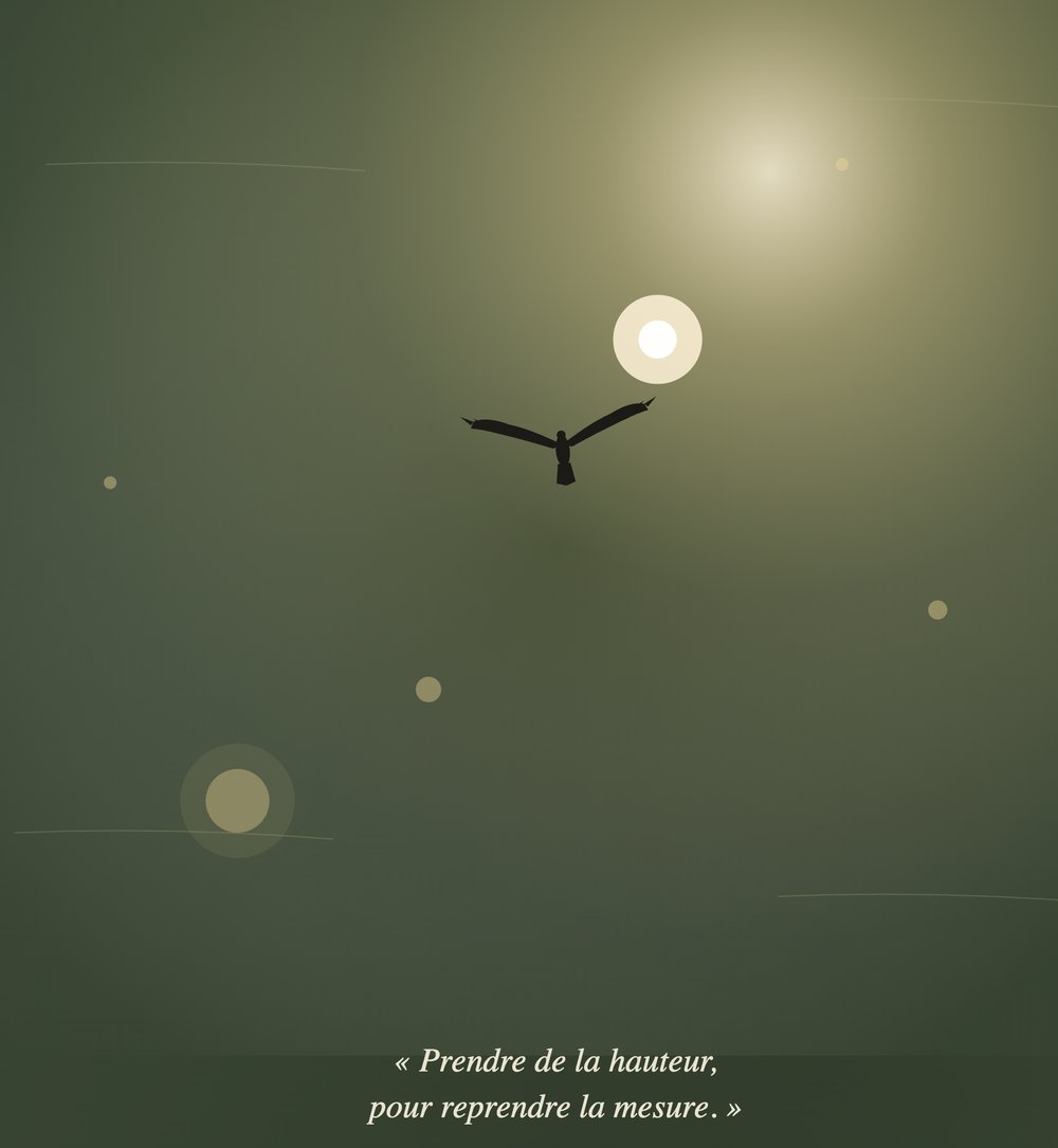 Illustration de la valeur Sagesse : un aigle royal prenant de la hauteur